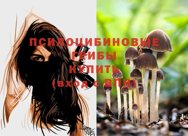 сатива Алексеевка