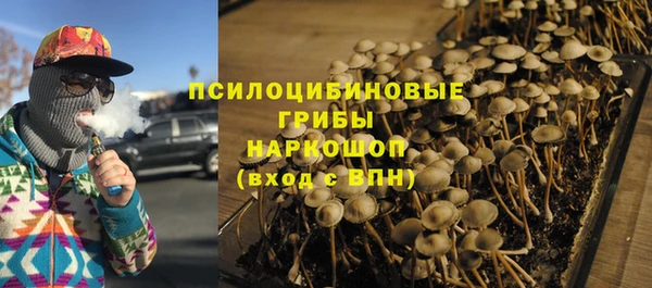 сатива Алексеевка