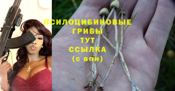 сатива Алексеевка